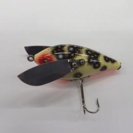 ワイルドダンサー エクセレントボーイ 白カビ