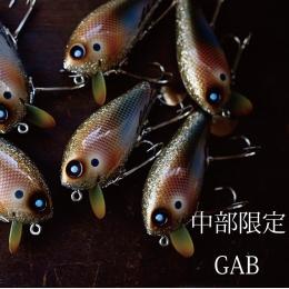 アブディール ウェイクバック80 中部限定 GAB