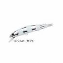 ウォーターランド ジャークソニック110S シルバーゼブラ