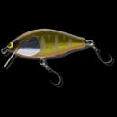 ウッドリーム アルボル50S フラット シンキング パーマーク金黒オレンジベリー