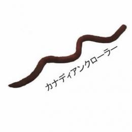 アンクルジョッシュ  ポークナイトクローラー7” カナディアンクローラー