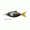 フィッシュアロー モーターシャッド シケーダ