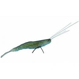 バークレー YABAI シュリンプ 3.2” クリアーブラック