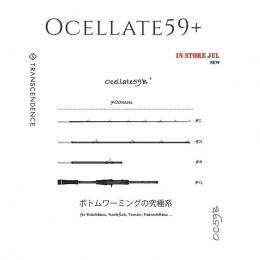トランスセンデンス オセレイトOcelate59B+
