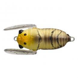 ティムコ ソフトシェルシケイダー ブラウンマイマイ