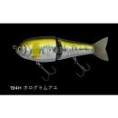 ノリーズ ヒラトップ170F ホログラムアユ