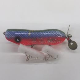 ストック ムカシウオ ブルーバックFISH