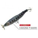 THタックル X テイルウォーク ナカチャーンベイト HAKONE P-MARK
