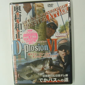 内外出版 奥村和正 D-plosionⅥ
