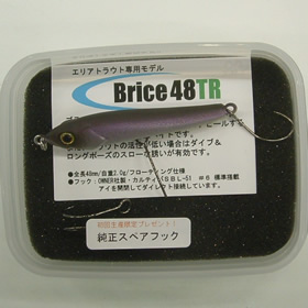 THタックル ブライス48TR マットワカサギ
